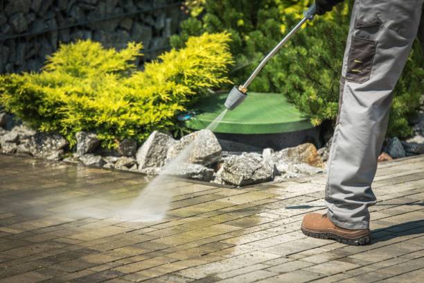 Best Solar Panel Cleaning  in Hansville, WA